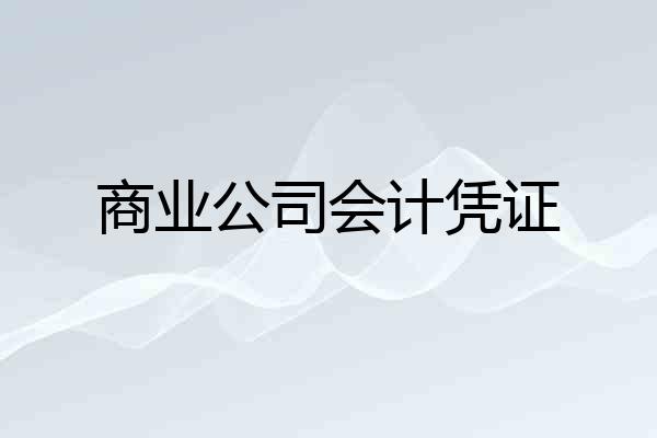 商业公司会计凭证
