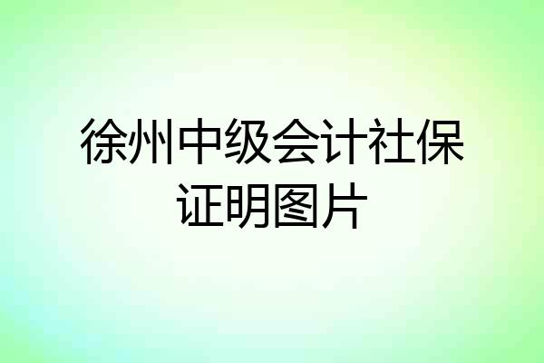 徐州中级会计社保证明图片