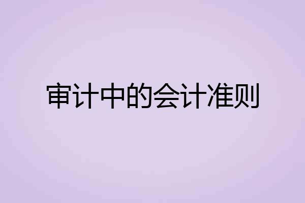 审计中的会计准则