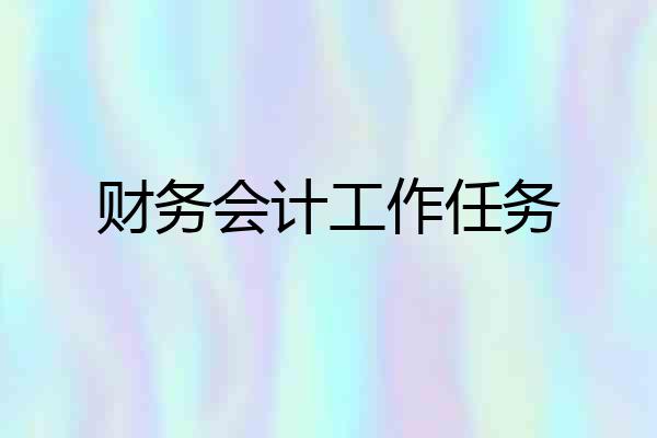 财务会计工作任务