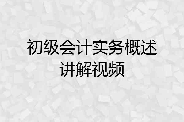 初级会计实务概述讲解视频