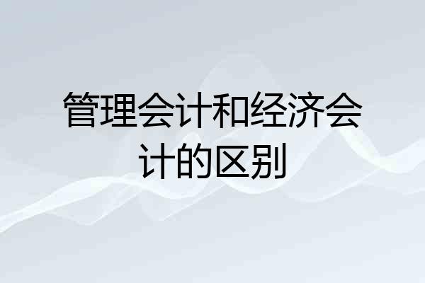 管理会计和经济会计的区别