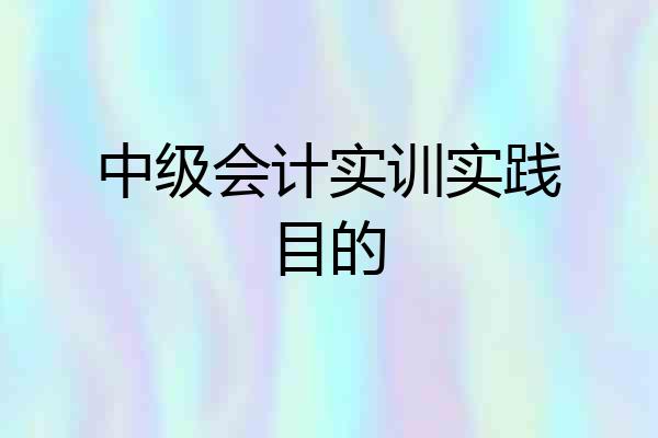 中级会计实训实践目的