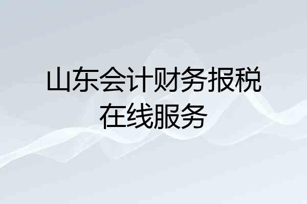 山东会计财务报税在线服务