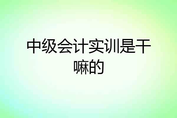 中级会计实训是干嘛的