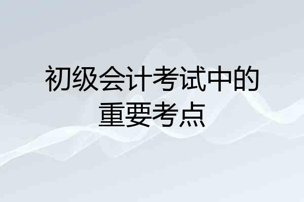 初级会计考试中的重要考点