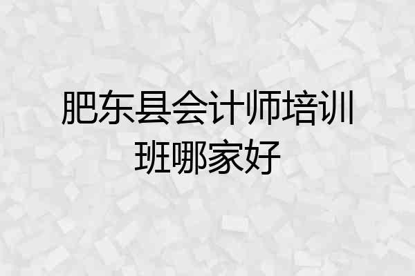 肥东县会计师培训班哪家好