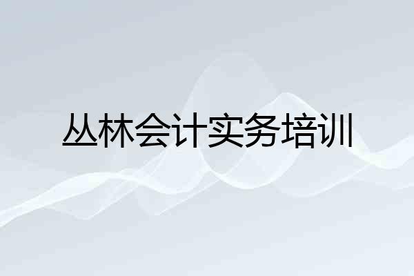 丛林会计实务培训