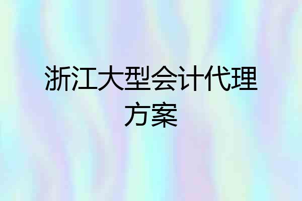 浙江大型会计代理方案