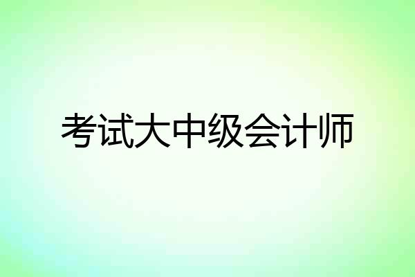 考试大中级会计师