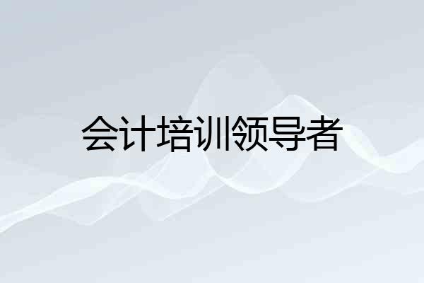 会计培训领导者
