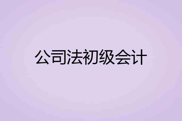 公司法初级会计