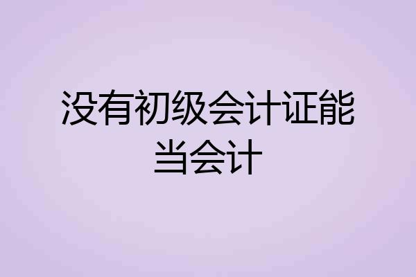 没有初级会计证能当会计