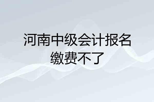 河南中级会计报名缴费不了