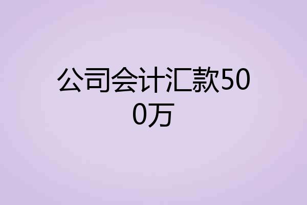公司会计汇款500万