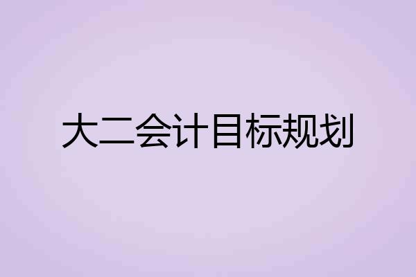大二会计目标规划