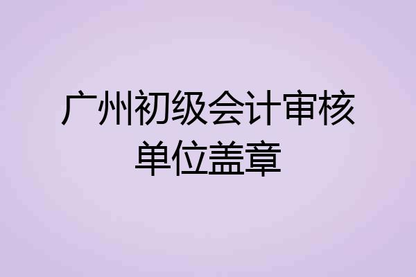 广州初级会计审核单位盖章