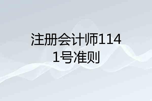 注册会计师1141号准则