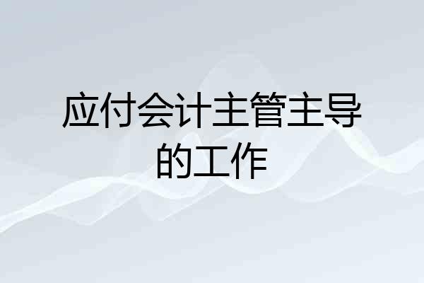 应付会计主管主导的工作