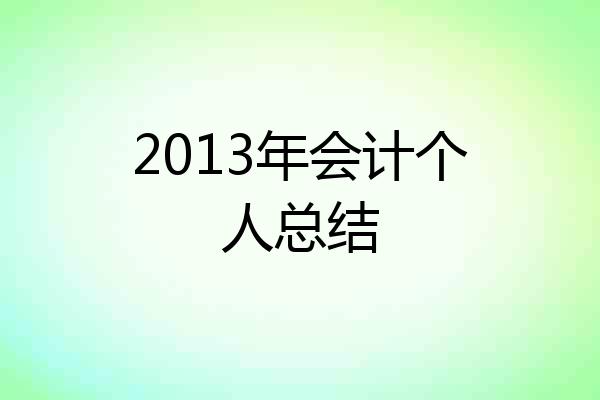 2013年会计个人总结