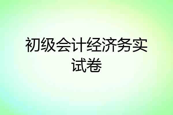 初级会计经济务实试卷