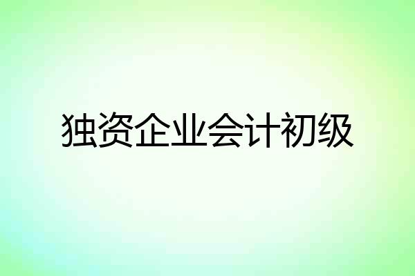 独资企业会计初级