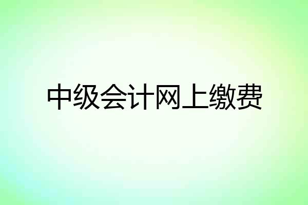 中级会计网上缴费