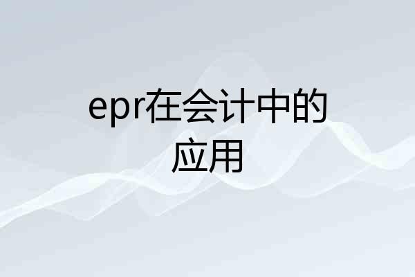 epr在会计中的应用