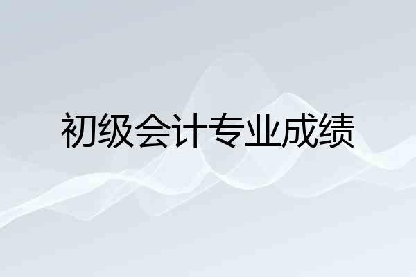 初级会计专业成绩
