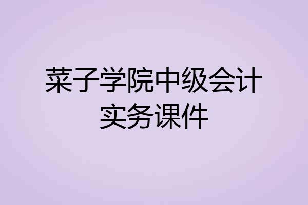 菜子学院中级会计实务课件