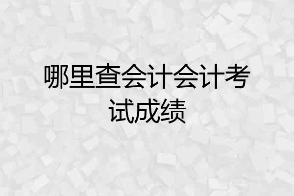 哪里查会计会计考试成绩