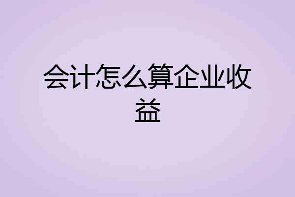 会计怎么算企业收益
