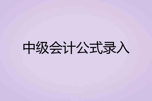 中级会计公式录入
