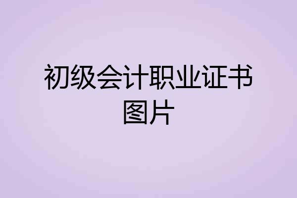 初级会计职业证书图片