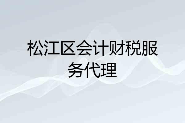 松江区会计财税服务代理