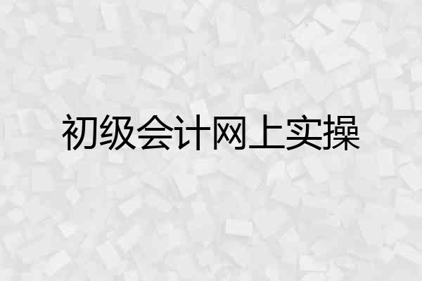 初级会计网上实操