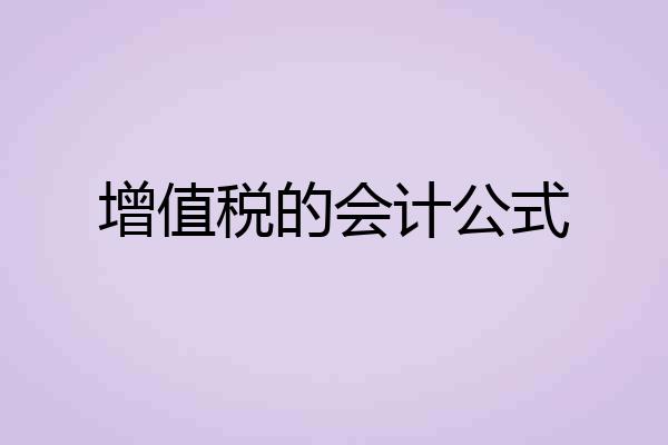 增值税的会计公式