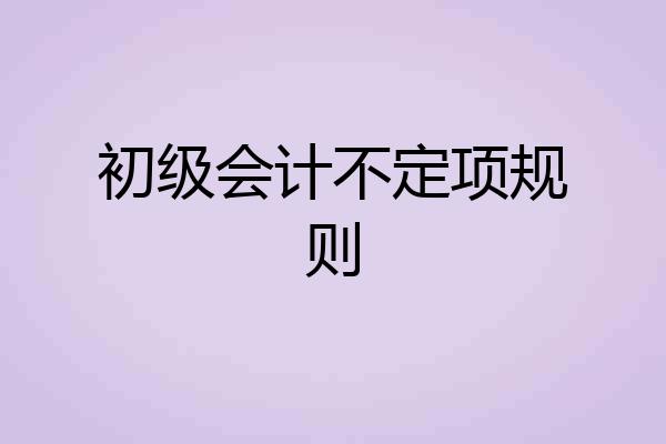 初级会计不定项规则