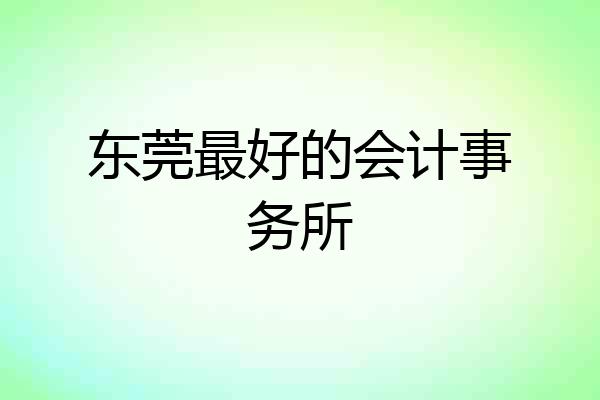 东莞最好的会计事务所