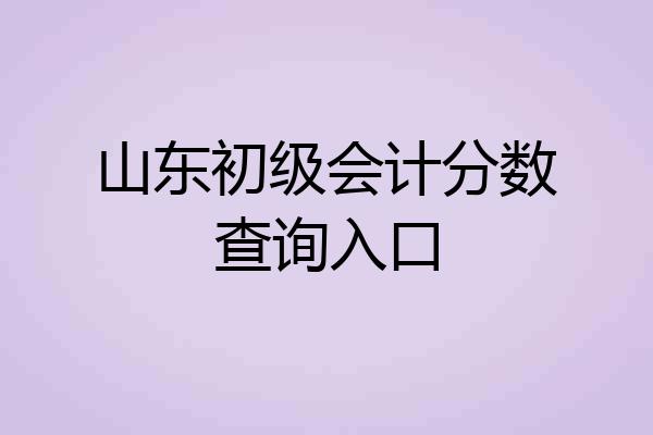 山东初级会计分数查询入口