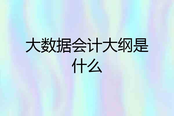 大数据会计大纲是什么