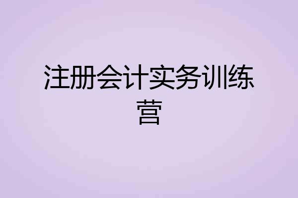 注册会计实务训练营