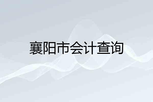 襄阳市会计查询