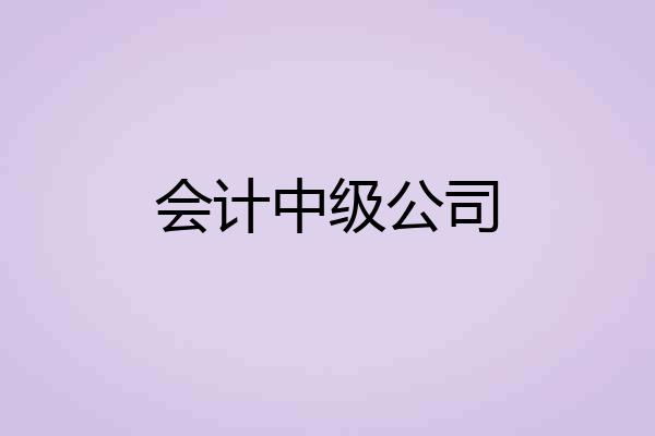 会计中级公司