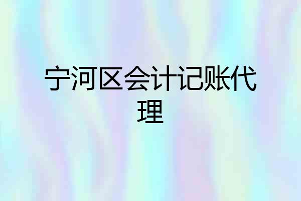 宁河区会计记账代理