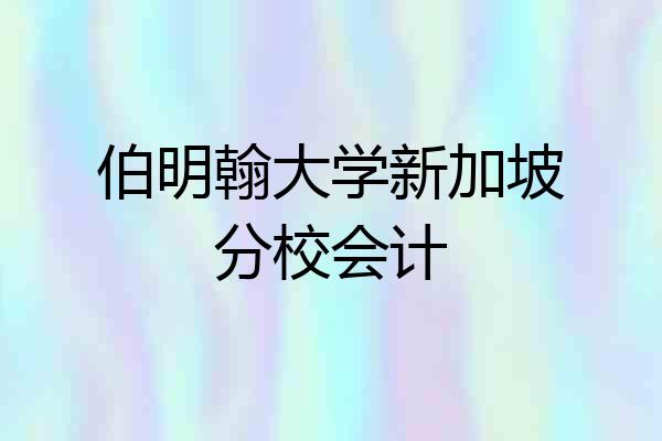 伯明翰大学新加坡分校会计