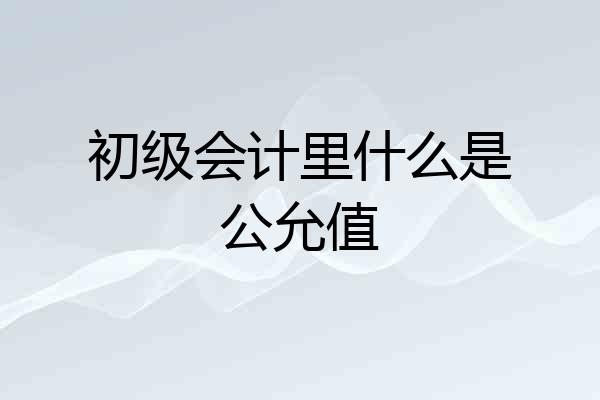 初级会计里什么是公允值