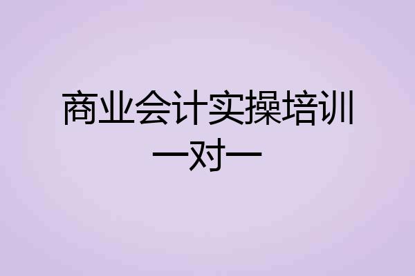 商业会计实操培训一对一