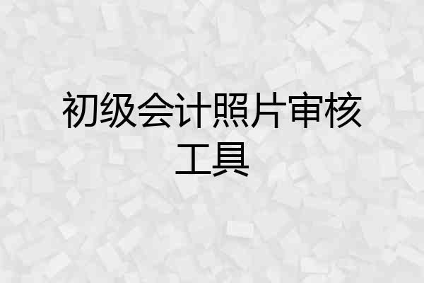 初级会计照片审核工具