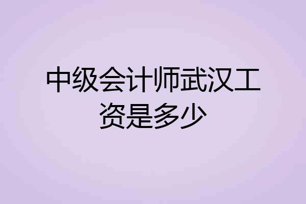 中级会计师武汉工资是多少